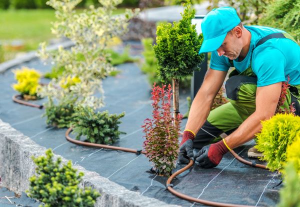 Lawn Sprinkler Wiring